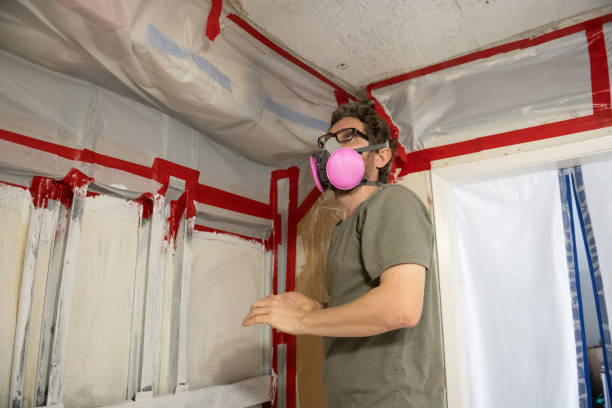 Asbestos and Lead Testing During Mold Inspection in Vienna, IL