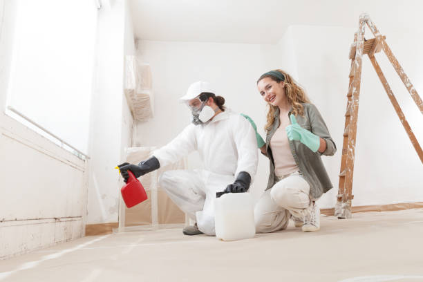 Best Mold Remediation for Healthcare Facilities  in Vienna, IL